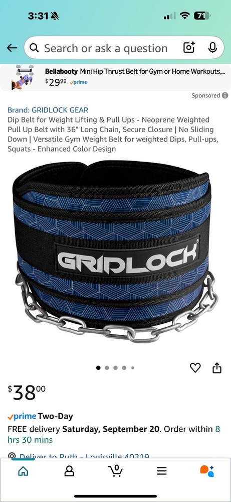 Gridlock Dip Weight Belt