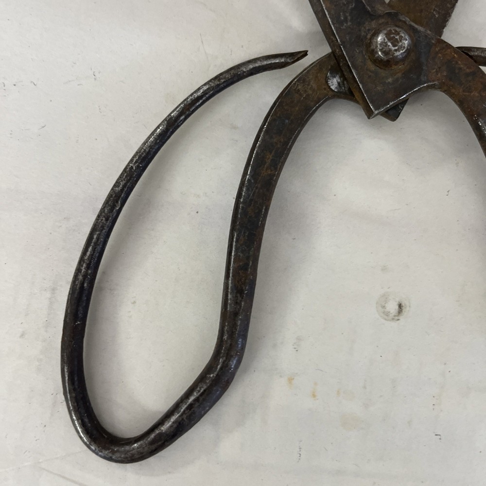 Vintage Japanese Bonsai Pruning Scissors