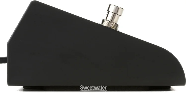 Ashdown FS-2 2-Way Footswitch with Cable