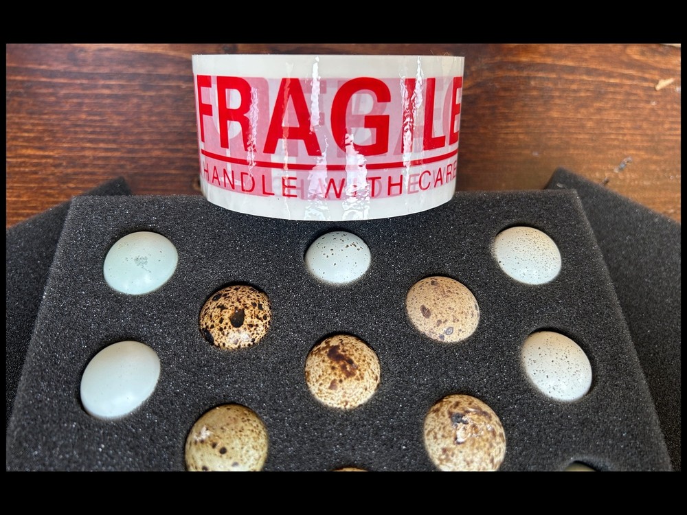 "FRAGILE" packing tape
