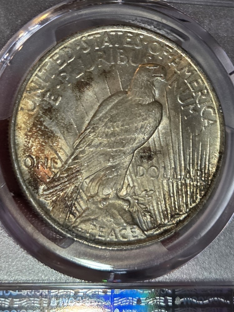 1922 $1 Peace Dollar PCGS MS65 Toned
