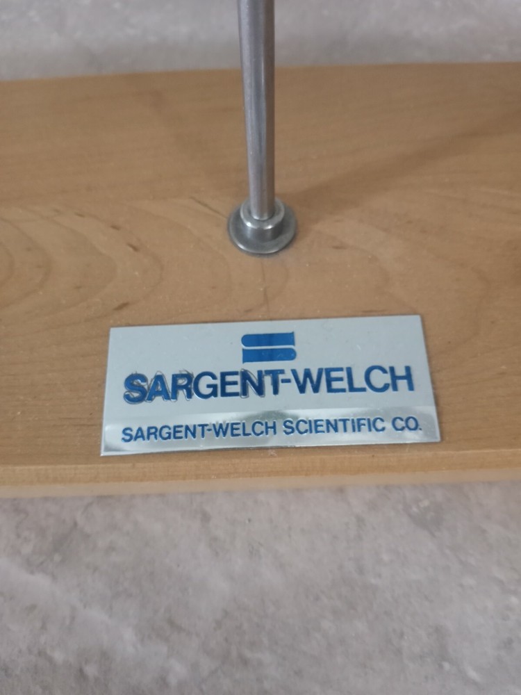 Sargent Welch Frog Model