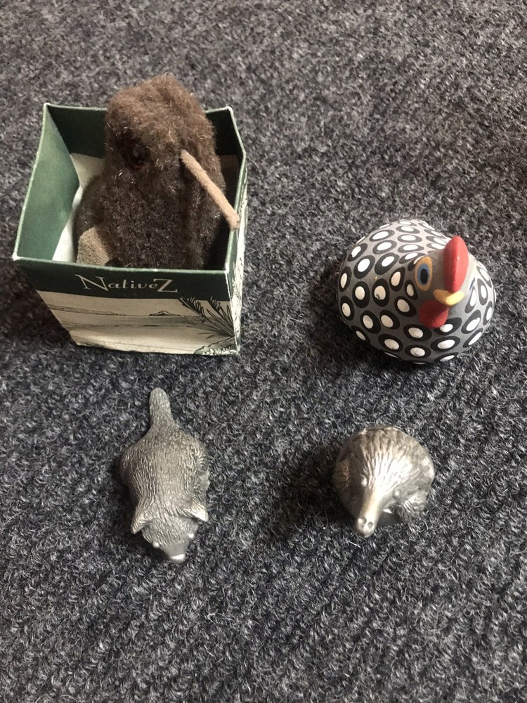 Nz Kiwi, Tasmanian Devil, Hen, Echidna