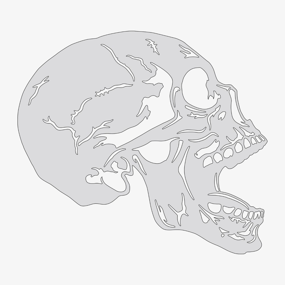 Human Skull #3 - Reusable Airbrush Stencil Template