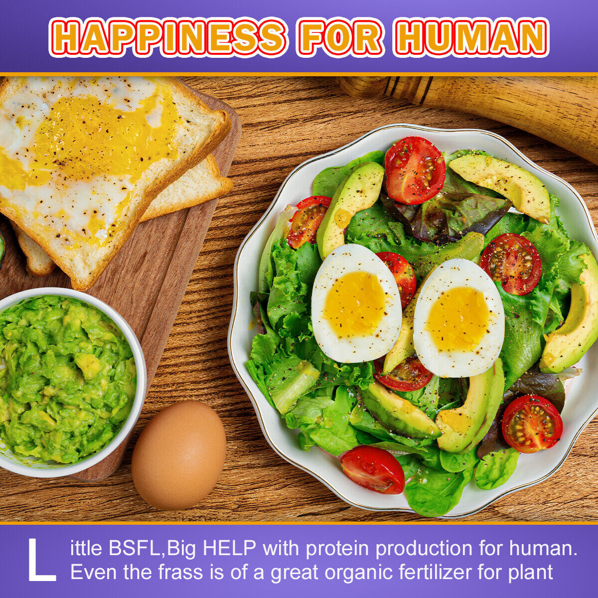 11/22/33/44/55lb Dried Black Soldier Fly Larvae Mealworms for Reptiles & Chicken