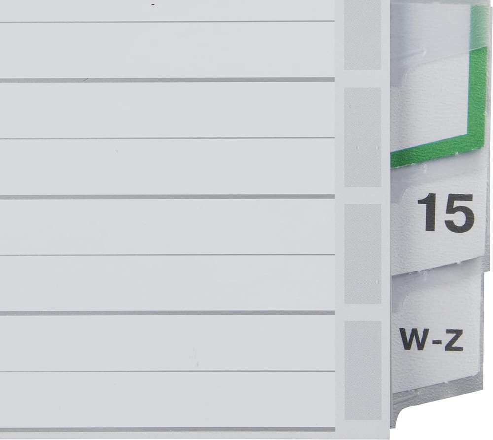 Leitz 12760000 Plastic Index Blank A4 Polypropylene 15 Sheets Grey