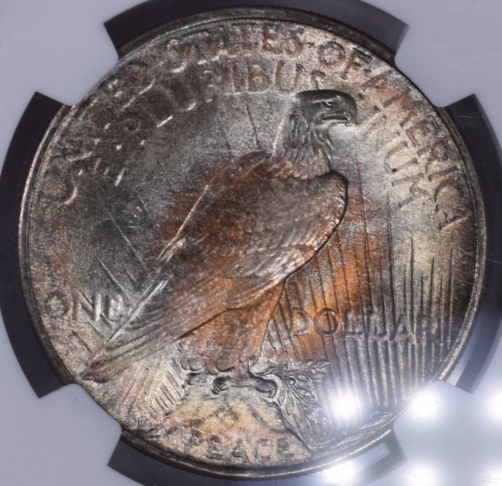1925 Peace Silver Dollar - NGC MS65 - Nice Toning!! JS