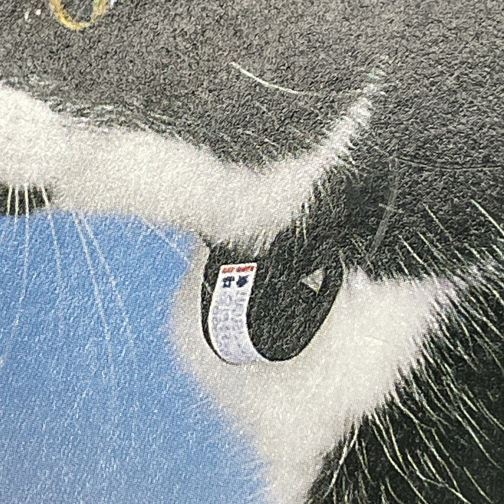 Cat Mate 4-Way Electromagnetic Cat Flap with 2 Keys - White