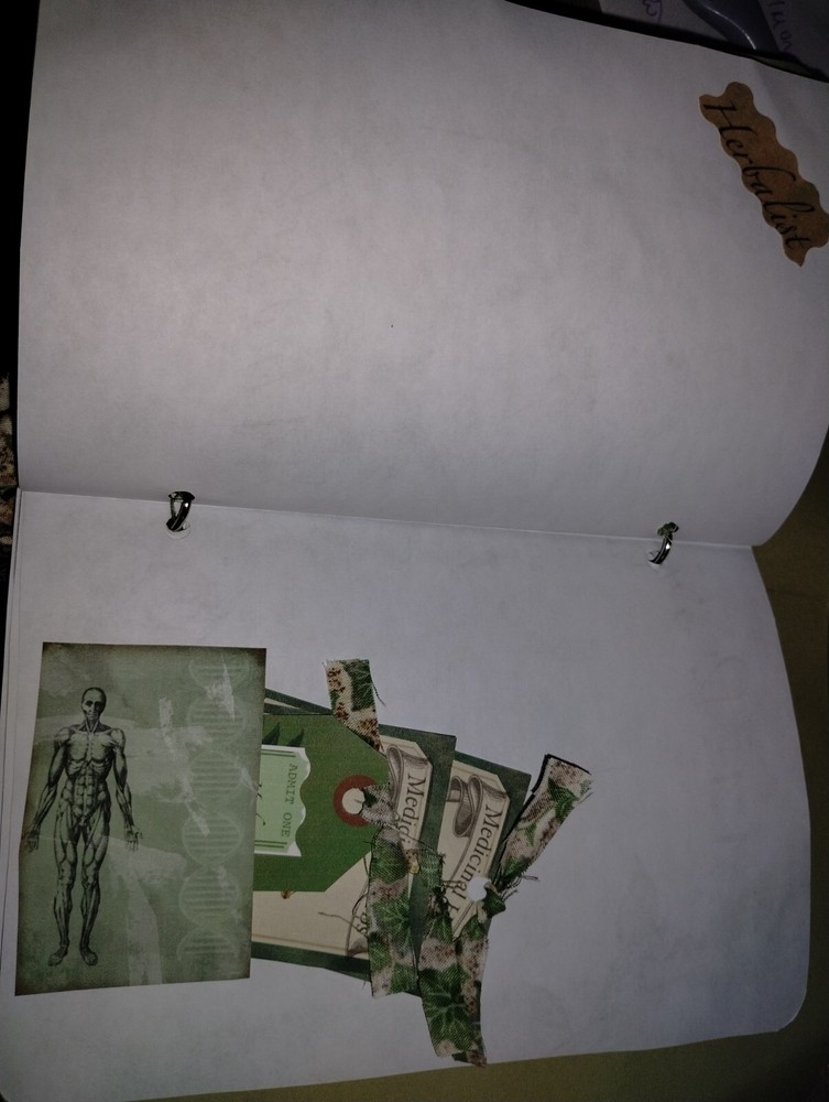 Herbalist Junk Journal Scrapbook USA