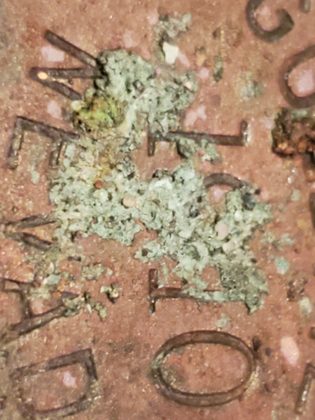 Goldfield Nevada NV 1910 Advertising watch fob, trade token, key, Hotel, fob (Y8