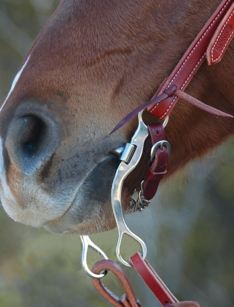 Ported Chain Performance Bit Copper Inlay by Classic Equine