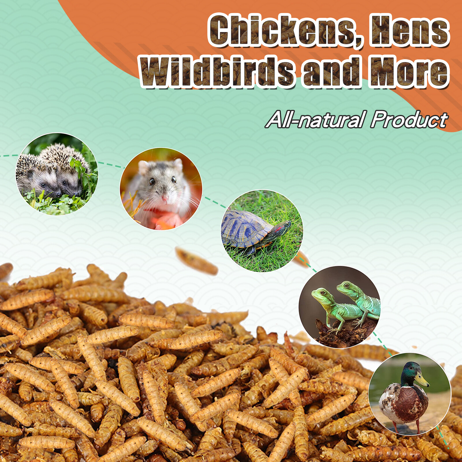 5-44LB Dried Black Soldier Fly Larvae Mealworms for Chicken Birds Treats Premium