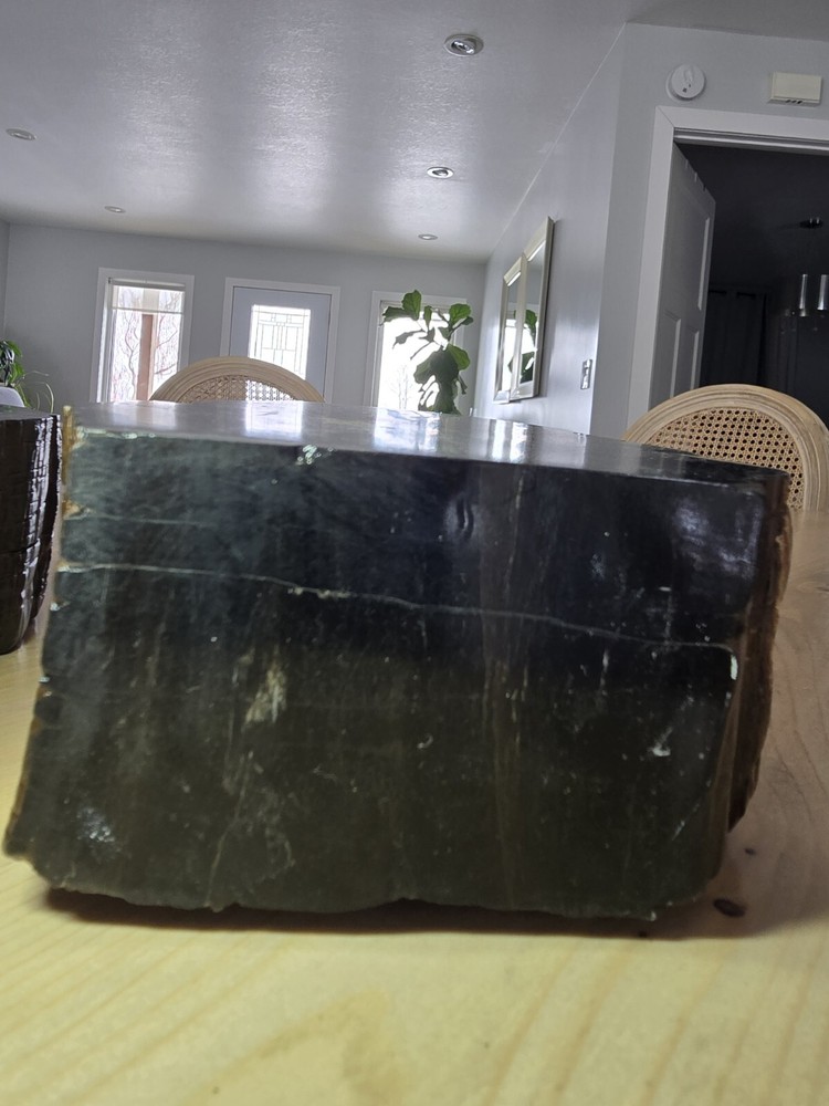 Petrified Wood Book Ends Glossed
