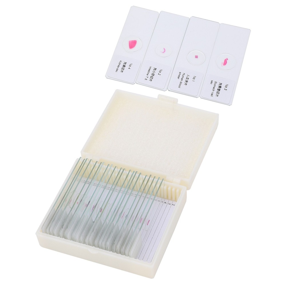 DW-25 25Pcs Animal Slide Set For Microscope Study Science Education