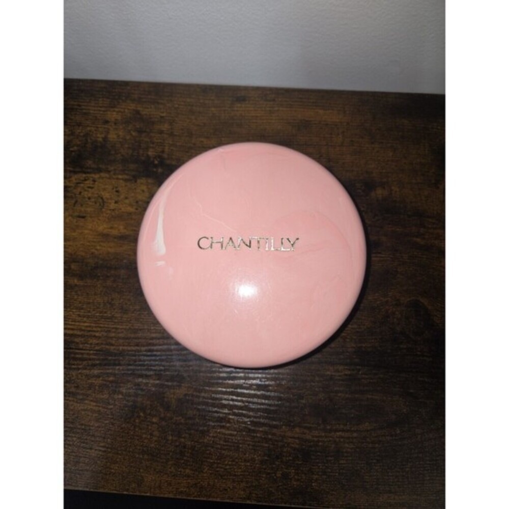 Vintage Chantilly Dusting Powder Box Solid Pink Plastic Case Empty