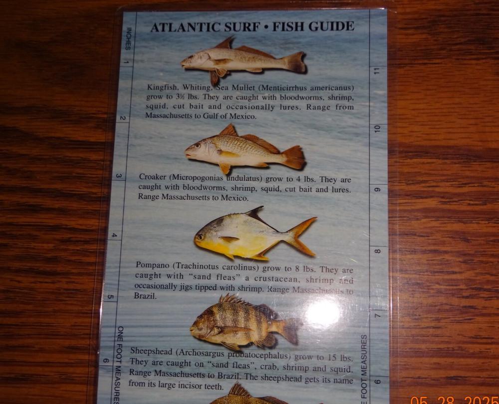 Atlantic Surf - Fish Guide, Species Quick Ref Guide, 12"x5", 2-Sided, Waterproof