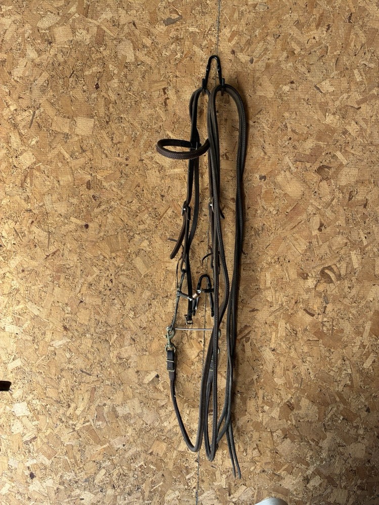 Headstall, bit and heavy split reins