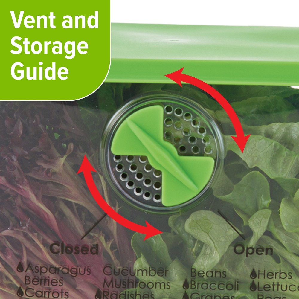 Prep Solutions Lettuce Keeper