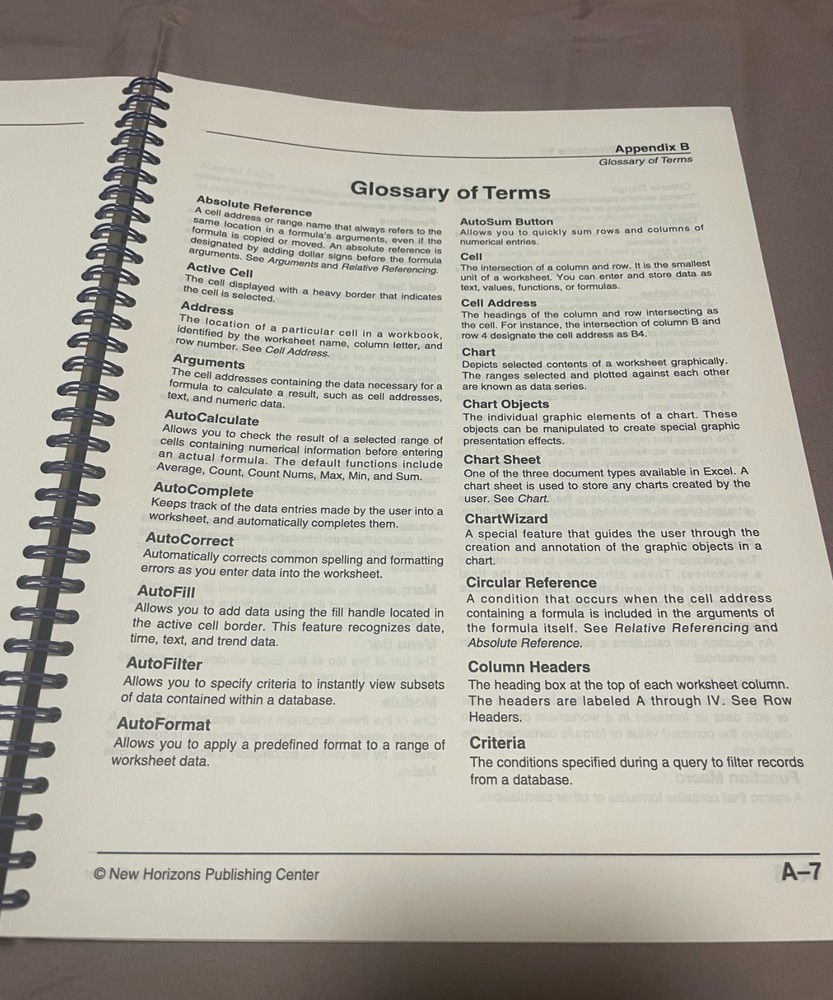 (2) Master Your Computer Beg + Int PowerPoint 97 Windows 95 Learning Manual