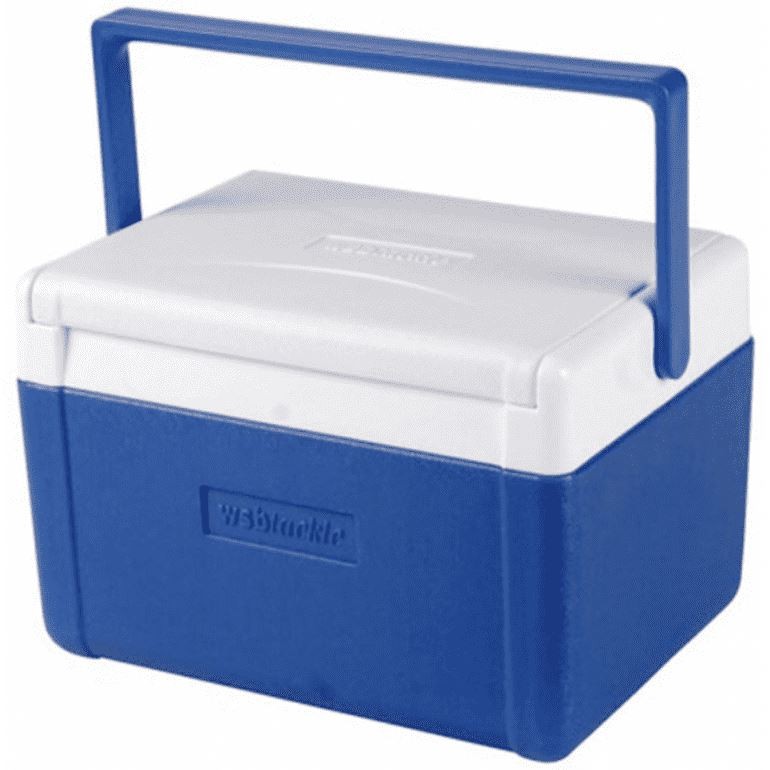 WSB Cool Box 5 Litre