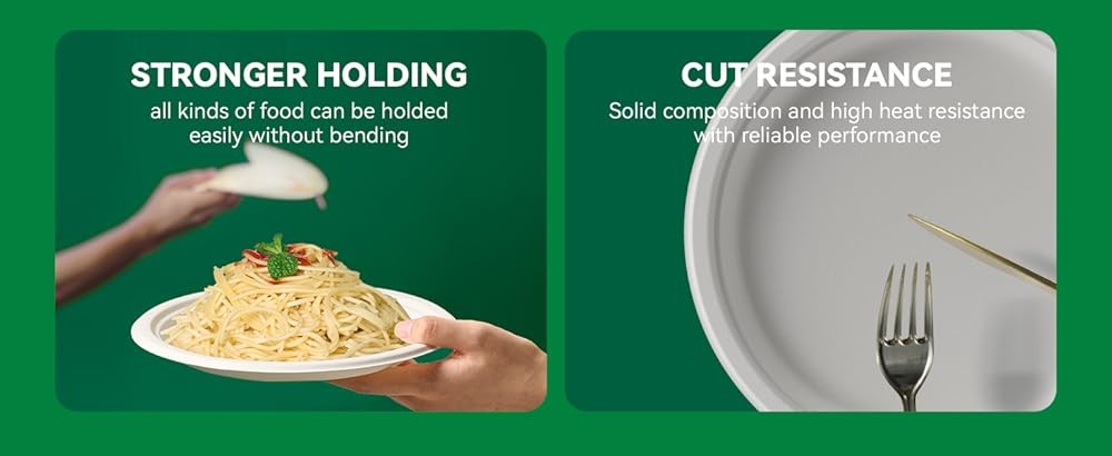 J CHEF postable Heavy Duty Plates 𝟭𝟬 𝗜𝗻𝗰𝗵 [𝟭𝟮𝟱 𝗣𝗮𝗰𝗸]