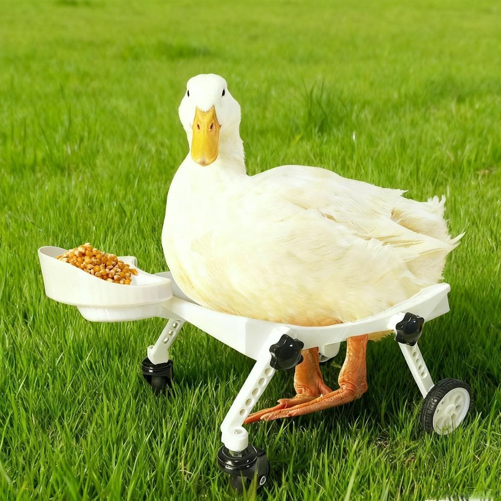 Pet Ducks Wheelchair - Adjustable Mobility Aid for Small Animals，Adjustable