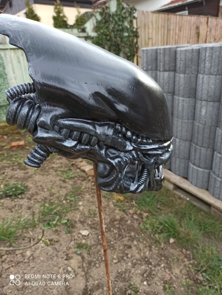 Alien / Xenomorph Romulus bust - head