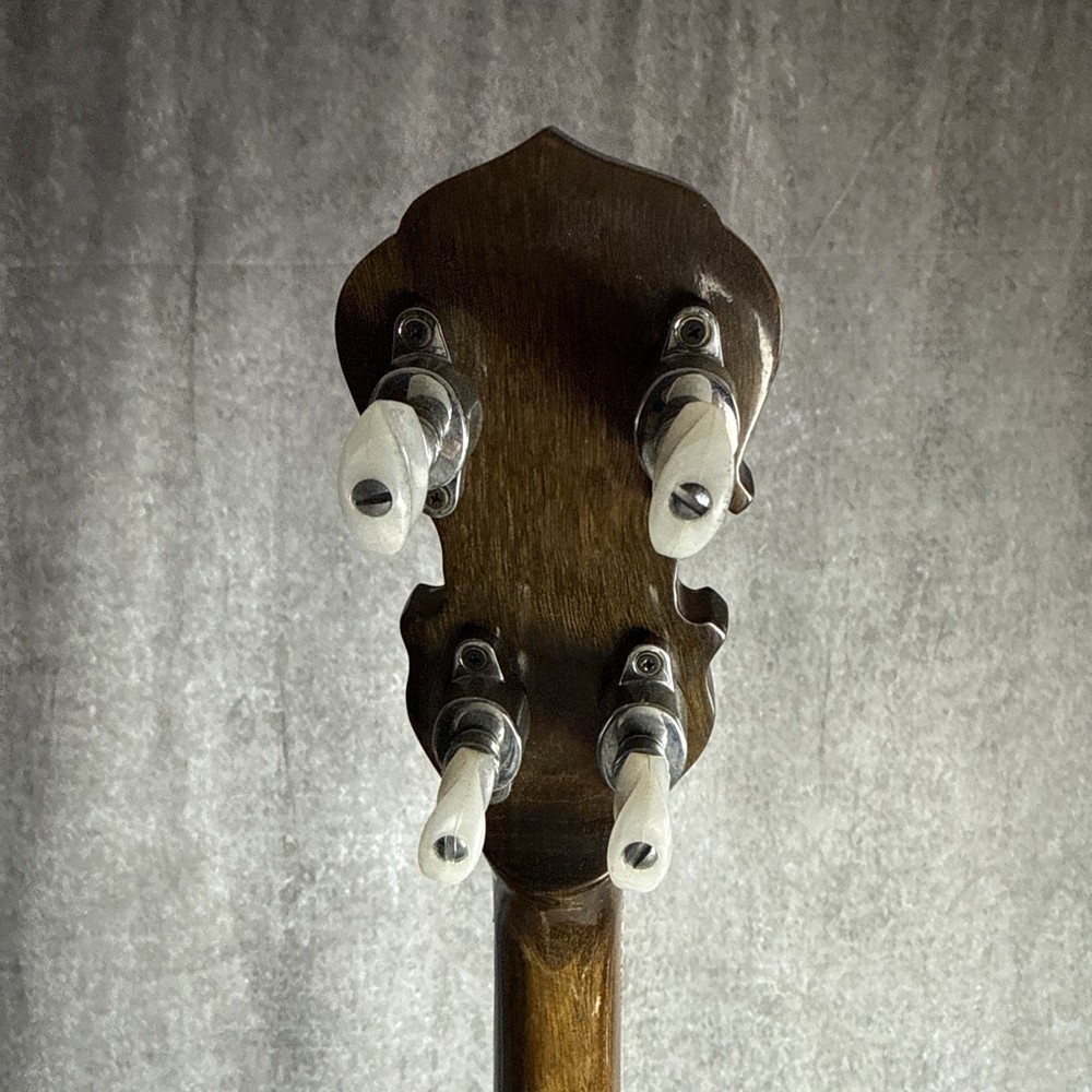 Aria 5-String Banjo Japan w/ Hard Case