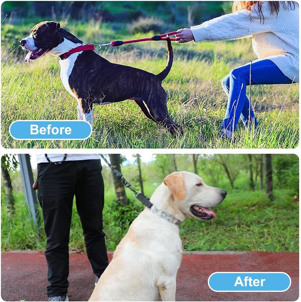 CBBPET Dog Prong Collar Adjustable Training Quick Release