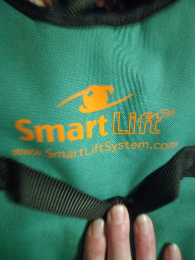 Smart Lift Stap System For Assistance