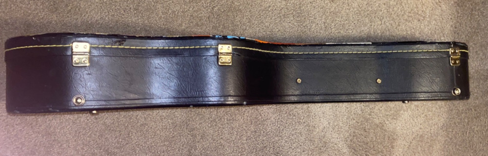 COOL DECOUPAGED PLUSH LINED HARD-SHELL GUITAR CASE HSC