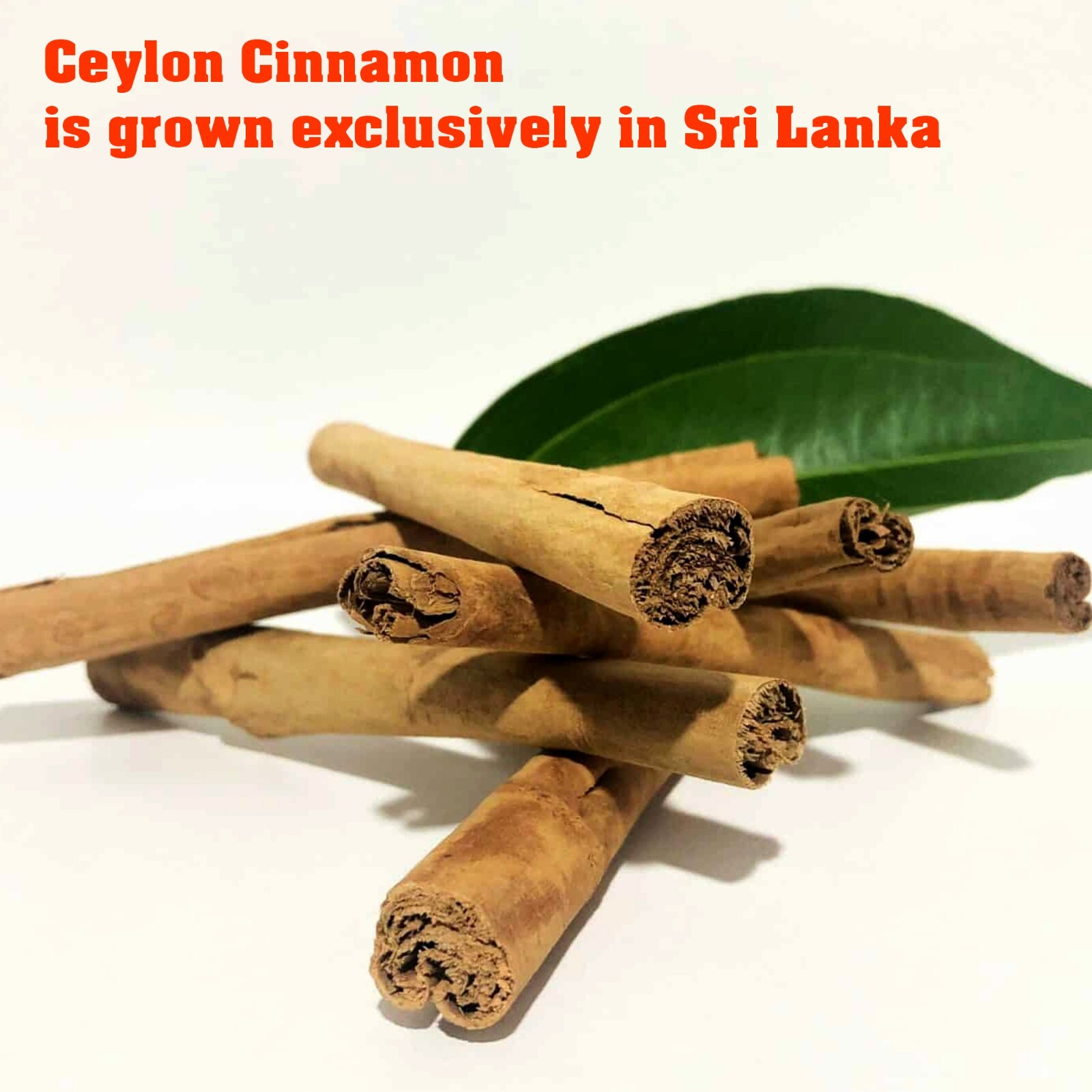 Premium Ceylon Cinnamon Powder, 32 Oz (2-lb)