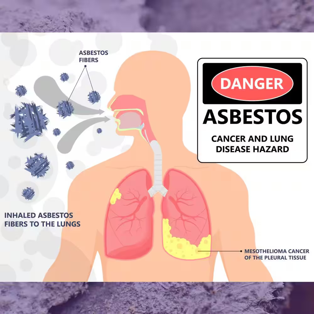Asbestos Test Kit