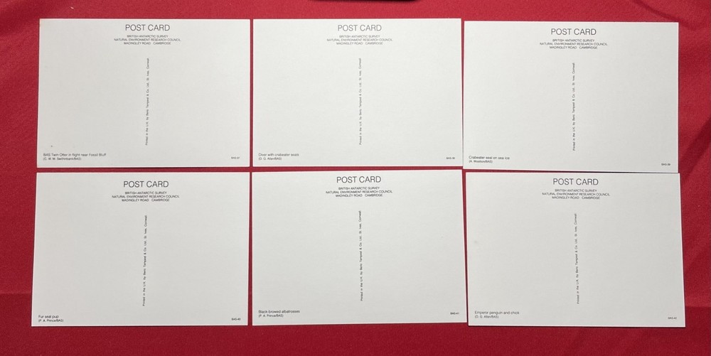 56 x British Antarctic Territory BAS Postcards