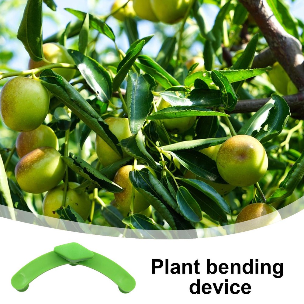 Limb Spreaders Adjustable 5Pcs Fruit Tree Branch Spreader New Branch Spreader