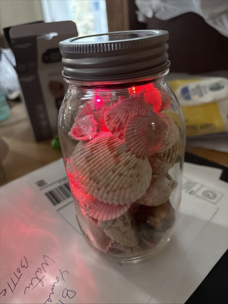 Shells In Lighted Jar