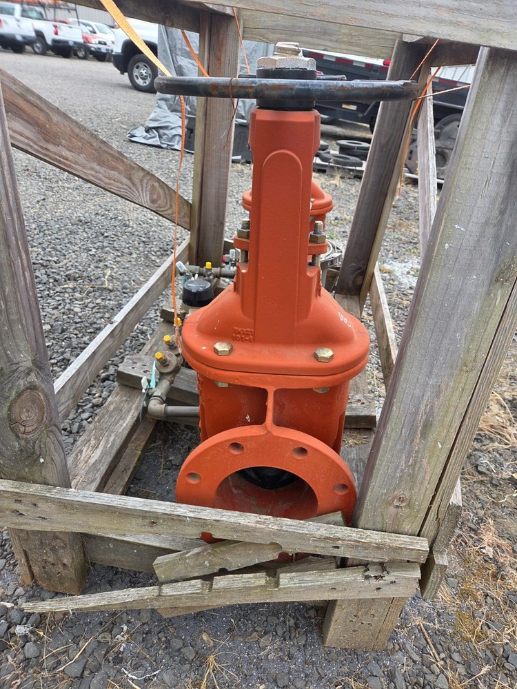 Apollo 6 inch backflow preventer valve new
