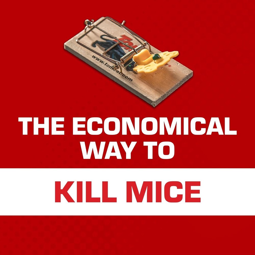 Compact and Effective Wooden Mouse Traps - 2 Traps for Efficient Rodent Control