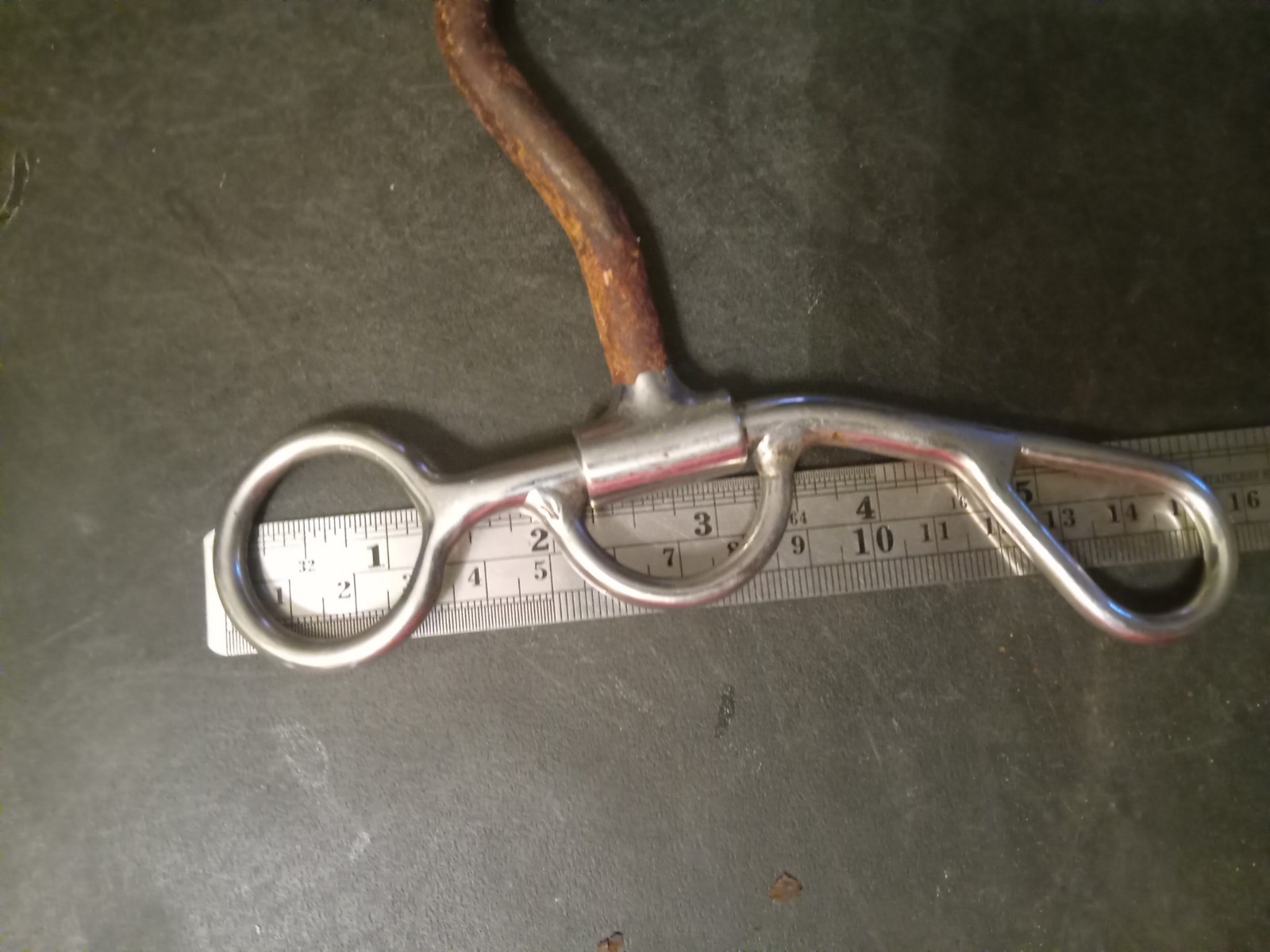 Short Shank loose cheek bit 5 in sweet iron mouth low port