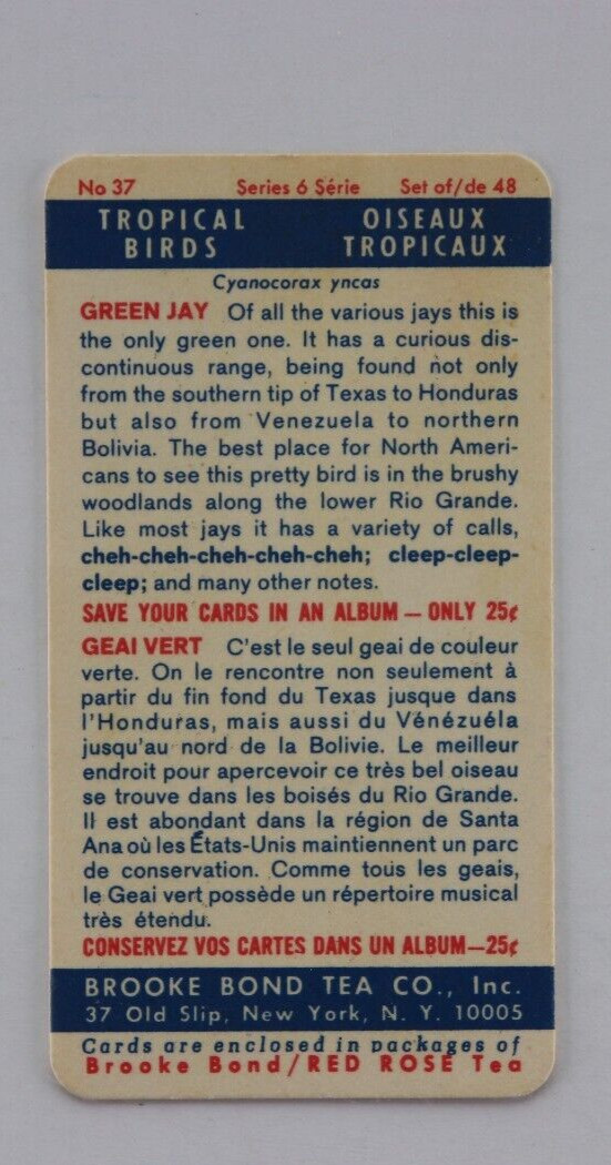 BROOK BOND GREEN TEA BIRD TRADING CARD 1963 No37