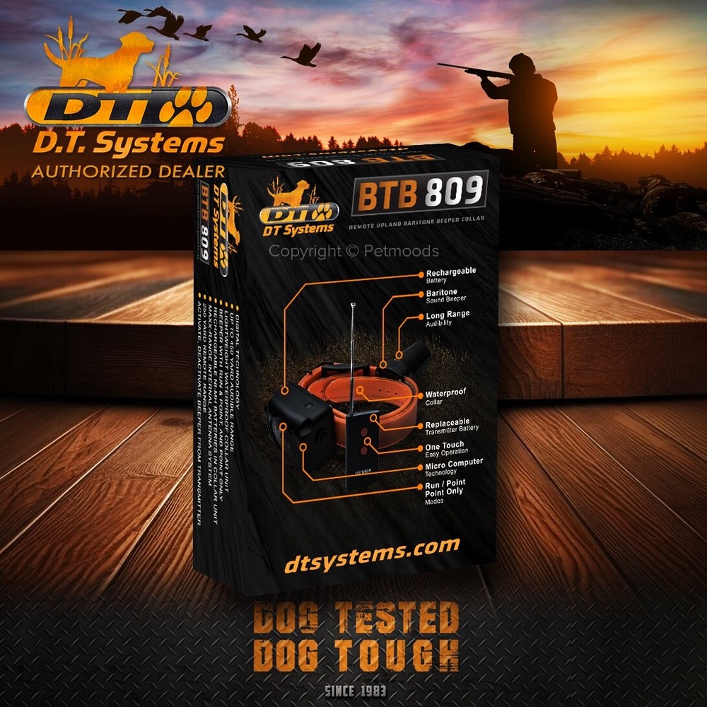 DT Systems BTB-809 Single Beep Baritone Dog Beeper Collar with Remote Control