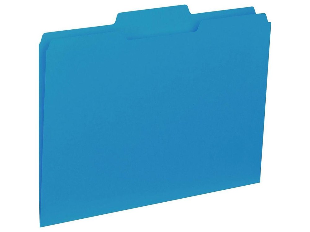 Business Source File Folder Interior Ltr 1/3" Cut 100/BX Blue 43562