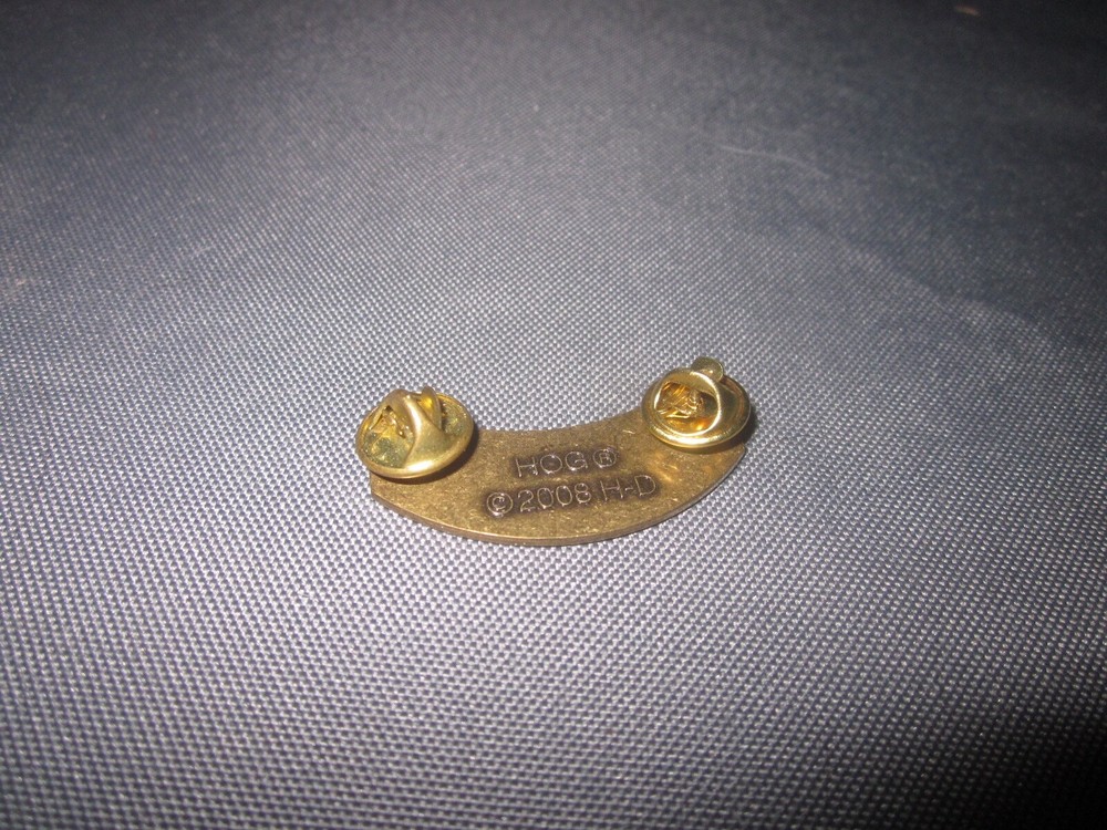 HOG HARLEY OWNERS GROUP HOG 2010 Member PATCH & PIN