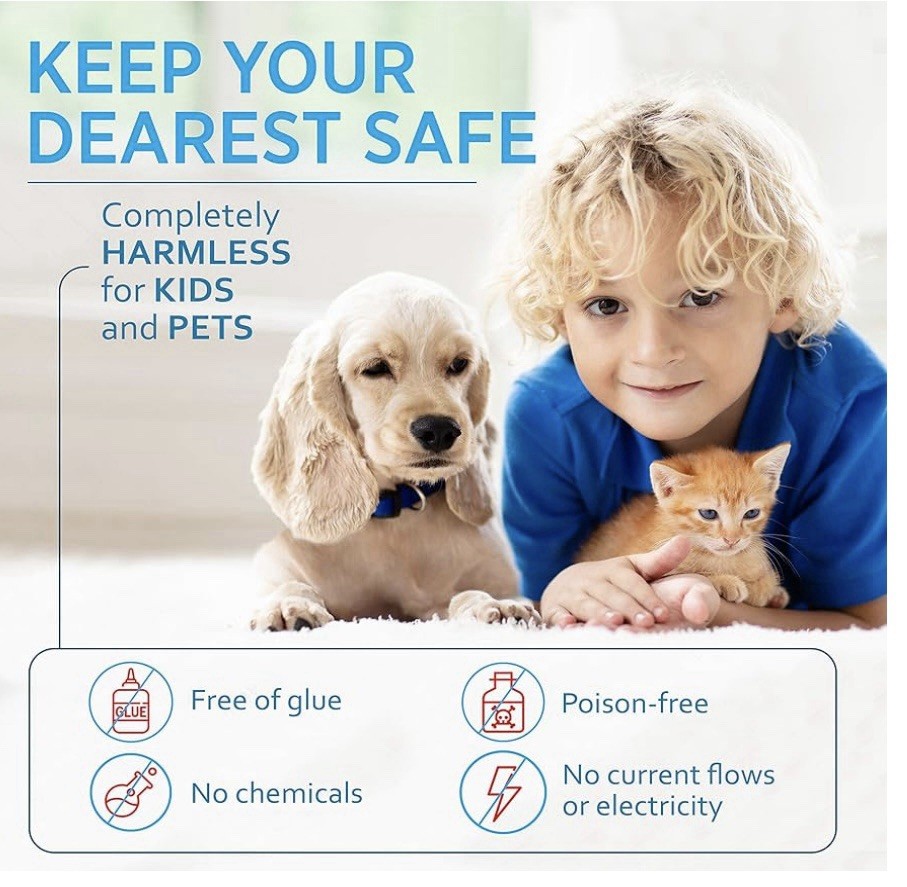 2 Pack Reusable Mouse Traps Catch and Release No Kill Live Mouse