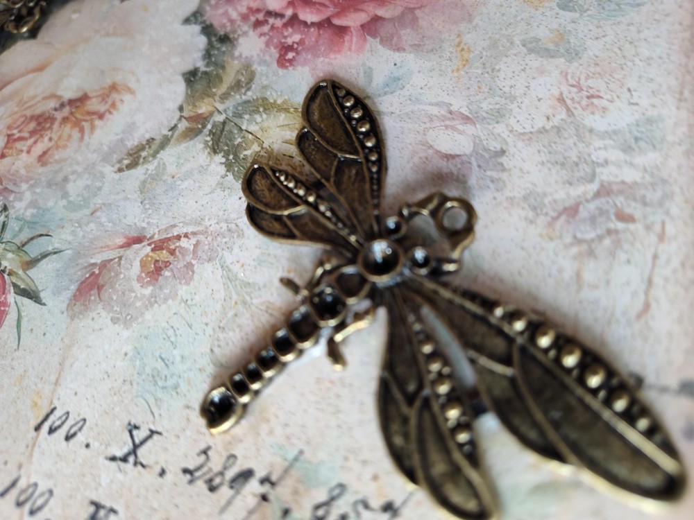 Altered Journal Paris Theme Dragon Flies