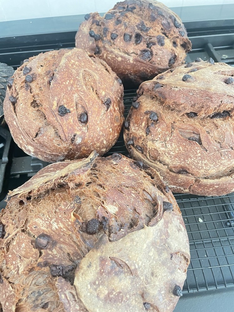 Sourdough starter, Organic Dehydrated And Very Active Starter