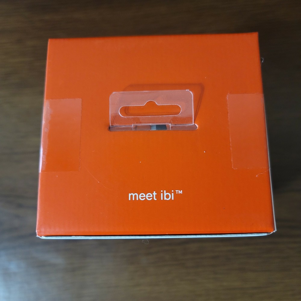 SanDisk IbI Smart Photo Manager 1TB Storage