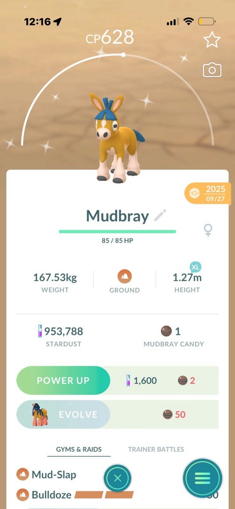 ✨Shiny Mudbray ✨ link trade