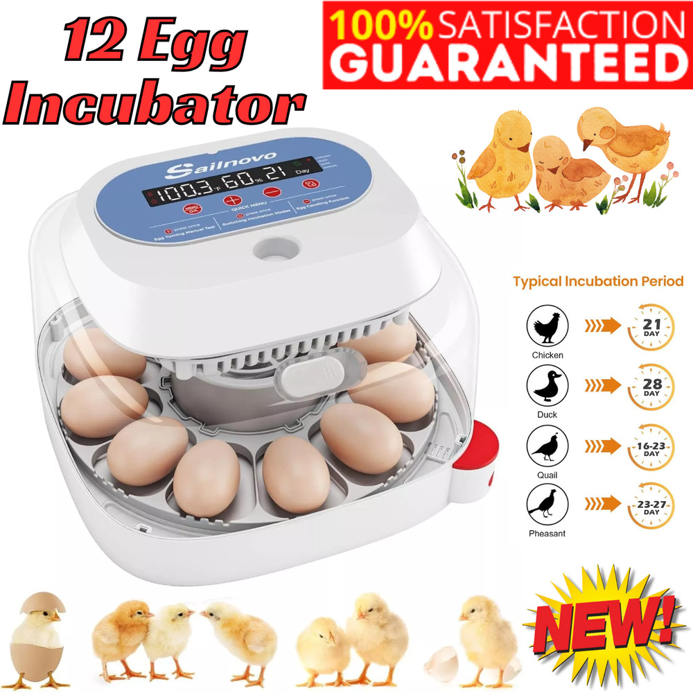 12 Egg Incubator for Hatching Eggs w/Automatic Egg Turning Temperature Control