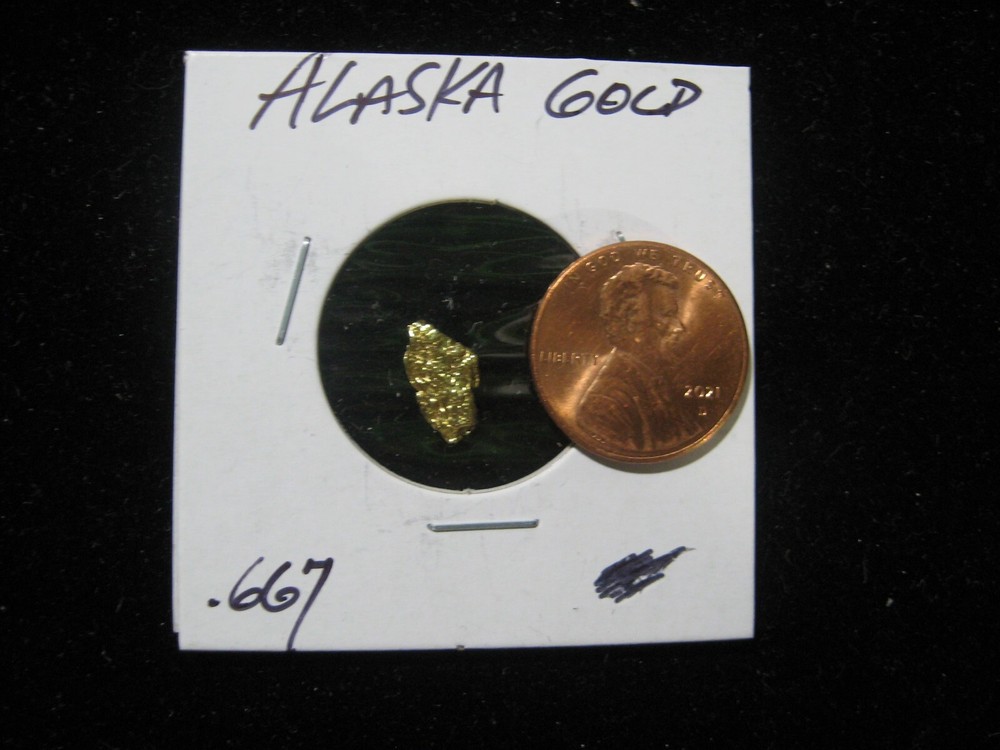 ALASKA GOLD NUGGET  .667 GRAM